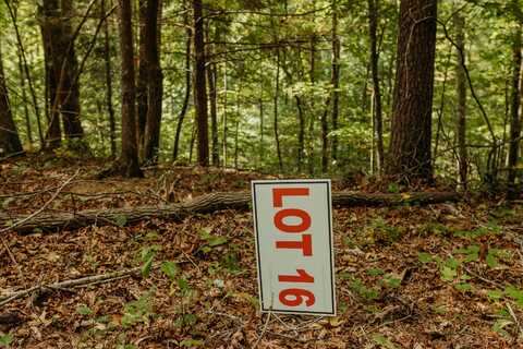 Tbd Lot 16 Sandy Ridge Road, Campton, KY 41301