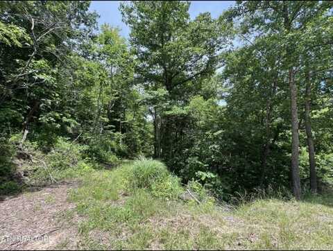 50 Acres Highway 1595, Frakes, KY 40940