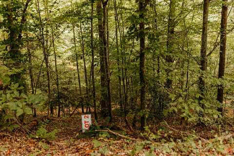 Tbd Lot 4 Sandy Ridge Road, Campton, KY 41301