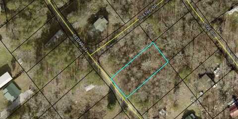 Lot 263 Cedar Lane, Burnside, KY 42519