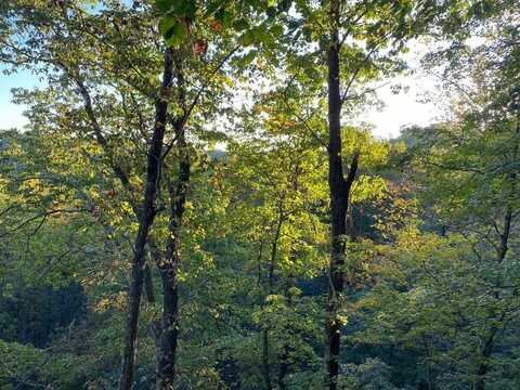 Lot #7 Sky Ridge Retreats, Denniston, KY 40316