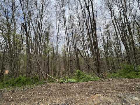 Lot #47 Laredo Drive, London, KY 40741