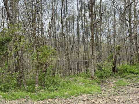 Lot #46 Laredo Drive, London, KY 40741