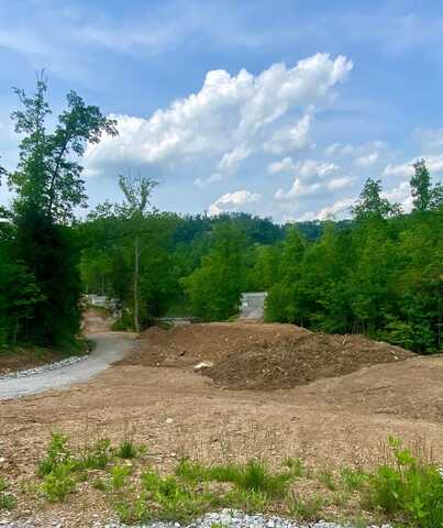 Lot 7 Sleepy Hollow Road, East Bernstadt, KY 40729