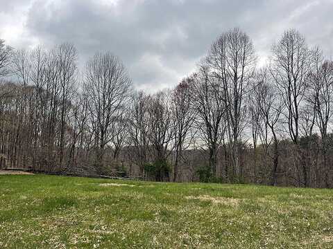 Lot 91 Stillwater, Russell Springs, KY 42642