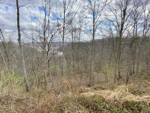 O Jack Lot Hollow, Hazard, KY 41701