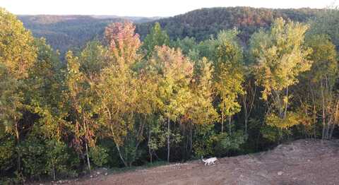 Lot #3 Sky Ridge Retreats, Denniston, KY 40316