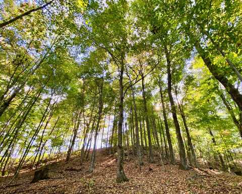 Lot #8 Sky Ridge Retreats, Denniston, KY 40316