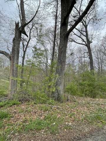 1 A Possum Hollow Road, Beattyville, KY 41311