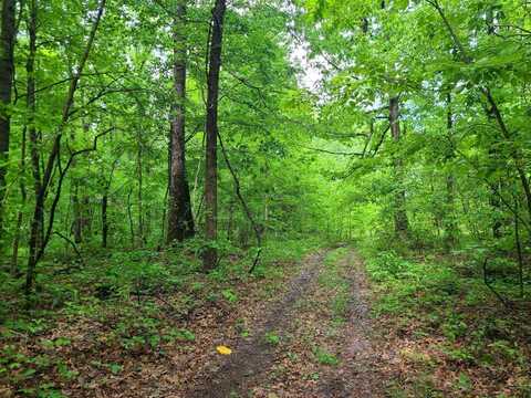 690 Adams Cemetery Road, Liberty, KY 42539