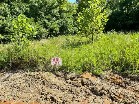 Lot 1 Spanns Lane, Somerset, KY 42501