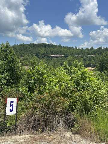 Lot 5 Sleepy Hollow Road, East Bernstadt, KY 40729