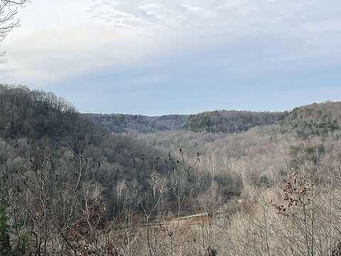 Lot 145 Stillwater, Russell Springs, KY 42642