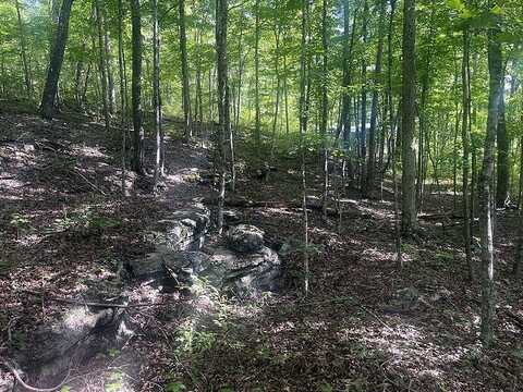 Lot 41 Paradise Acres, Somerset, KY 42501