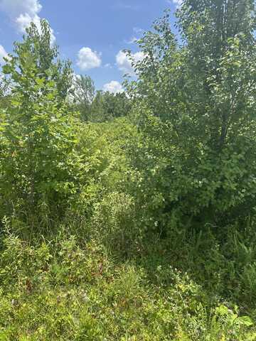 Lot East Meadow Drive, Nancy, KY 42544