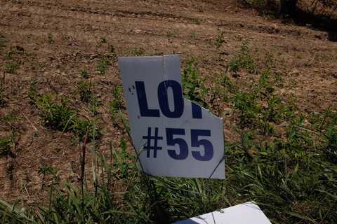 55 Green Cove Drive lot: Lot, London, KY 40741