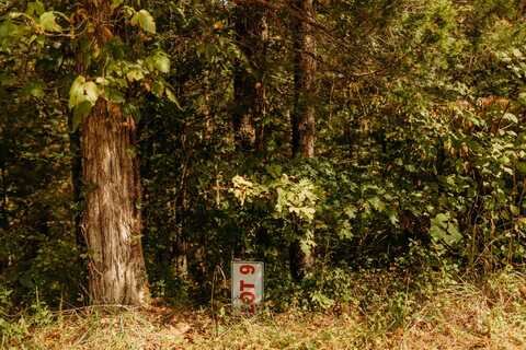 Tbd Lot 9 Sandy Ridge Road, Campton, KY 41301