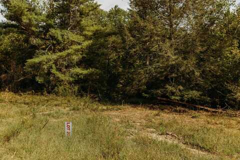 Tbd Lot 22 Sandy Ridge Road, Campton, KY 41301