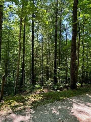 Lot#1 Peaceful Valley Rec Retreat, Beattyville, KY 41311