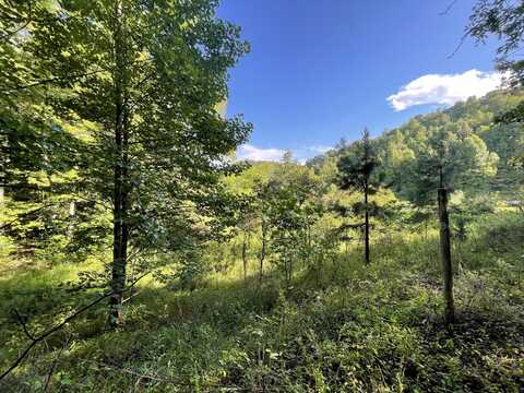 1208 Huckleberry Fork Road, Manchester, KY 40962