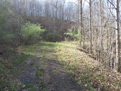 9999 Coon Creek Road, Hyden, KY 41749