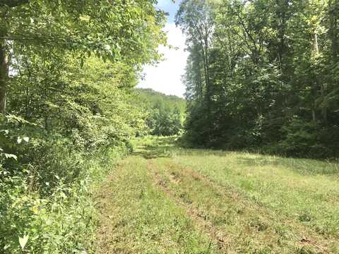 2112 Elmer Stone Road, Olive Hill, KY 41164