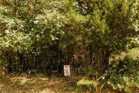 Tbd Lot 8 Sandy Ridge Road, Campton, KY 41301