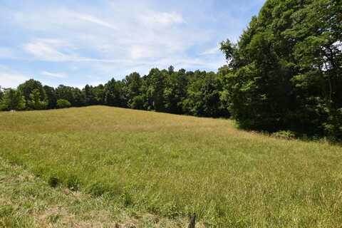 00 Hester Ridge, Wallingford, KY 41093