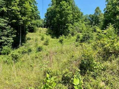 Lot#141 Peaceful Valley Rec Retreat, Beattyville, KY 41311