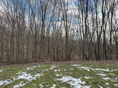 Lot #50 Laredo Drive, London, KY 40741