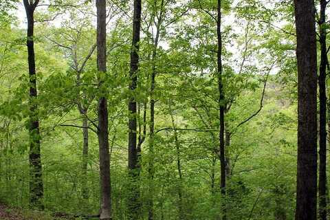 Lot 14 The Village at Laurelwood, Nancy, KY 42544