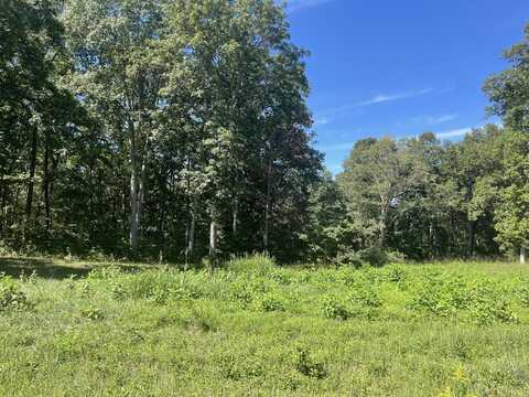 Lot 77 Cumberland Shores, Monticello, KY 42633