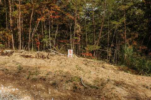 Tbd Lot 23 Sandy Ridge Road, Campton, KY 41301