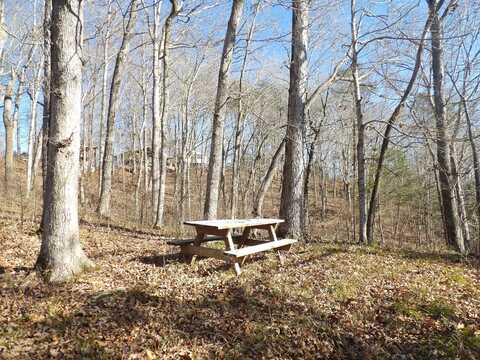 Lots Beaver Lodge Subdivision, Monticello, KY 42633