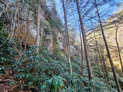 0000 Goldmine Road, Pine Ridge, KY 41360