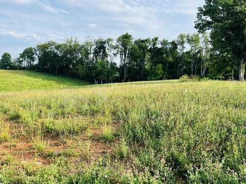 Lot 9 Park Avenue, Somerset, KY 42501