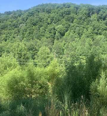 Lot #1 South Fork Road, Stanton, KY 40380