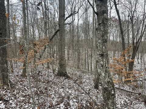 45.72 Acre Hwy. 674, Monticello, KY 42633