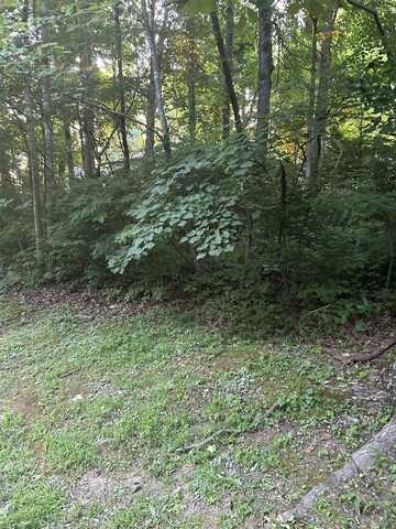 Lot Shoreline Drive, Somerset, KY 42503