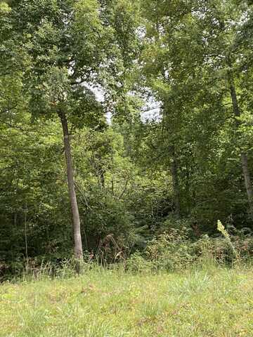 Lot D,E Greasy Ridge Road, Stanford, KY 40484