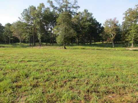 156 Joan Drive, Ellisville, MS 39437