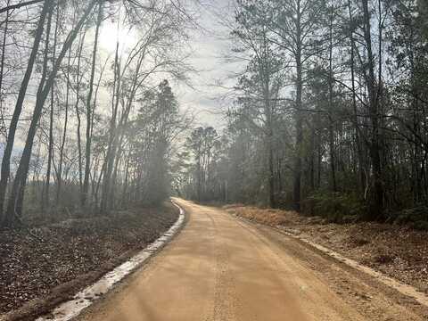 -- Strickland Road, Waynesboro, MS 39367