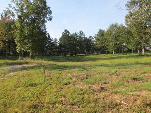 152 Joan Drive, Ellisville, MS 39437