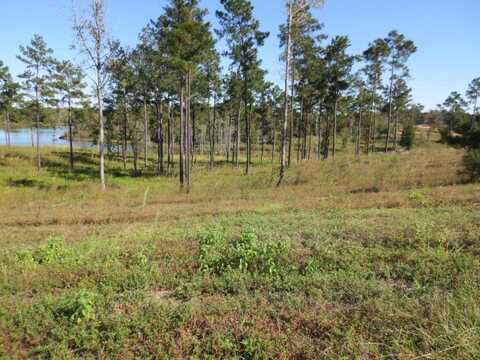 88 Joan Drive, Ellisville, MS 39437