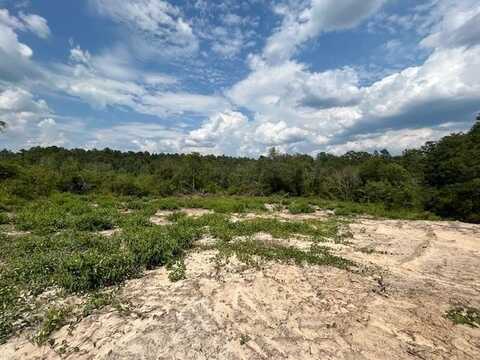 TBD Jimmy Ramey Rd, Waynesboro, MS 39367