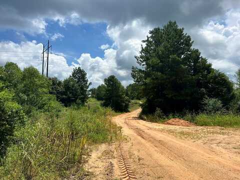 undefined, Waynesboro, MS 39367