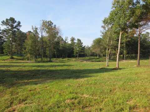 160 Joan Drive, Ellisville, MS 39437