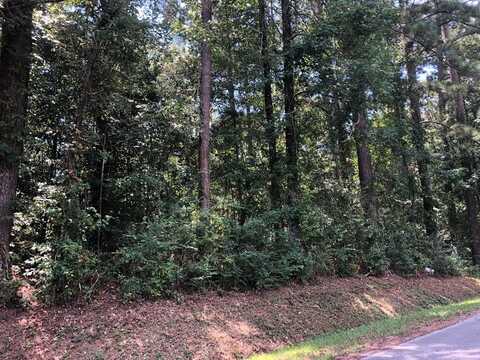 0 State St. Lot 45, Laurel, MS 39440