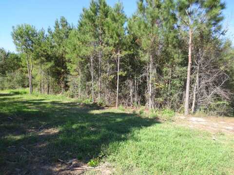 51 Joan Drive, Ellisville, MS 39437