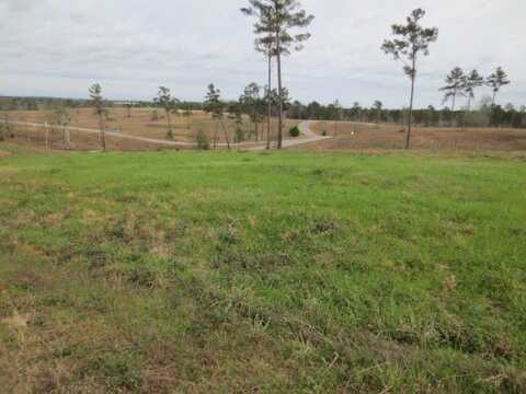 6 Josie Drive, Ellisville, MS 39437